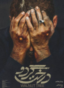 缇炵緸缃戠珯澶у叏