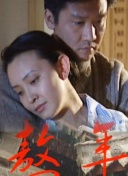 狐狸视频